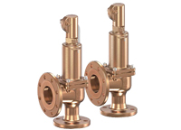 Series 852 goetze armaturen safety valves